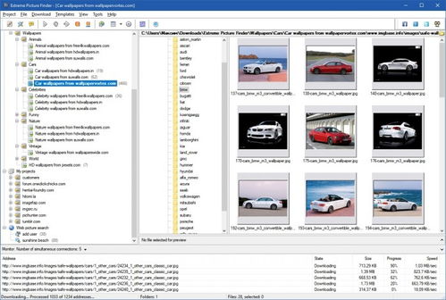 揭秘《Extreme Picture Finder》官方中文版v3.53.3 批量下载网页图片的最强助手